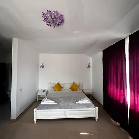 Hotel Pensiunea Fabian